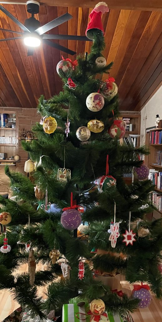 Learn More about Trees at Christmas Time Margaret Cheasebro