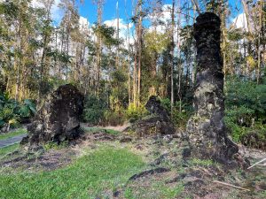 Lava trees at Lava Tree State Park