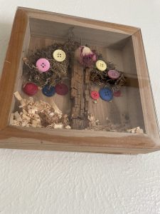 Window box containing pieces of a spruce tree that fell down